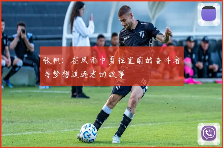 张帆：在风雨中勇往直前的奋斗者与梦想追逐者的故事