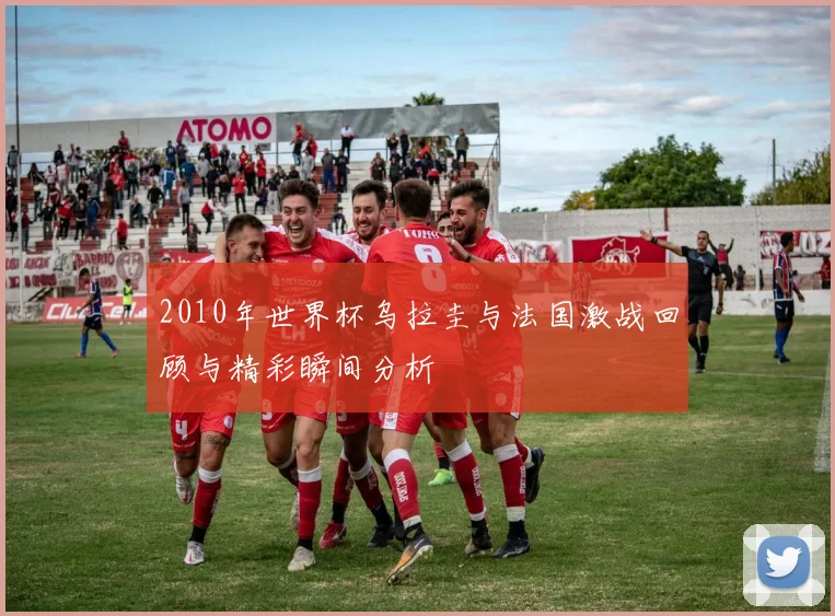 2010年世界杯乌拉圭与法国激战回顾与精彩瞬间分析