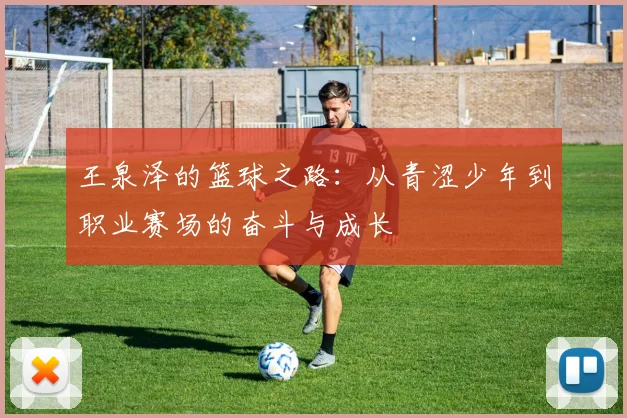 王泉泽的篮球之路：从青涩少年到职业赛场的奋斗与成长