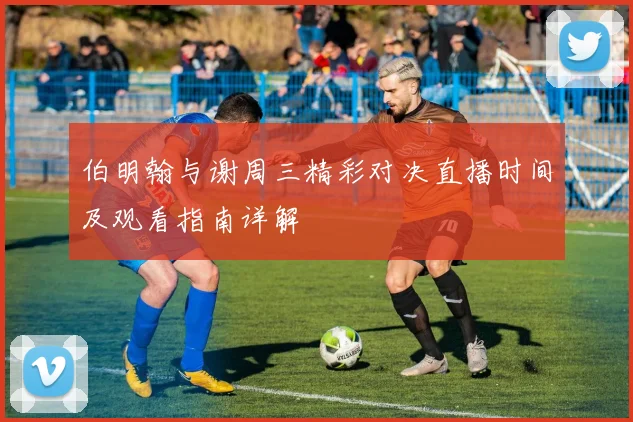 伯明翰与谢周三精彩对决直播时间及观看指南详解
